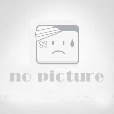 战略游戏《英杰传5：三国志曹操传》中文破解版