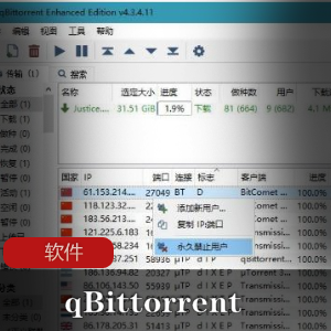 实用软件《qBittorrent 4.3.4.11 绿色增强版》BT磁力下载利器推荐