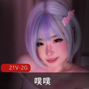 噗噗的周六深夜节目档-塑形计划[21V-2G]